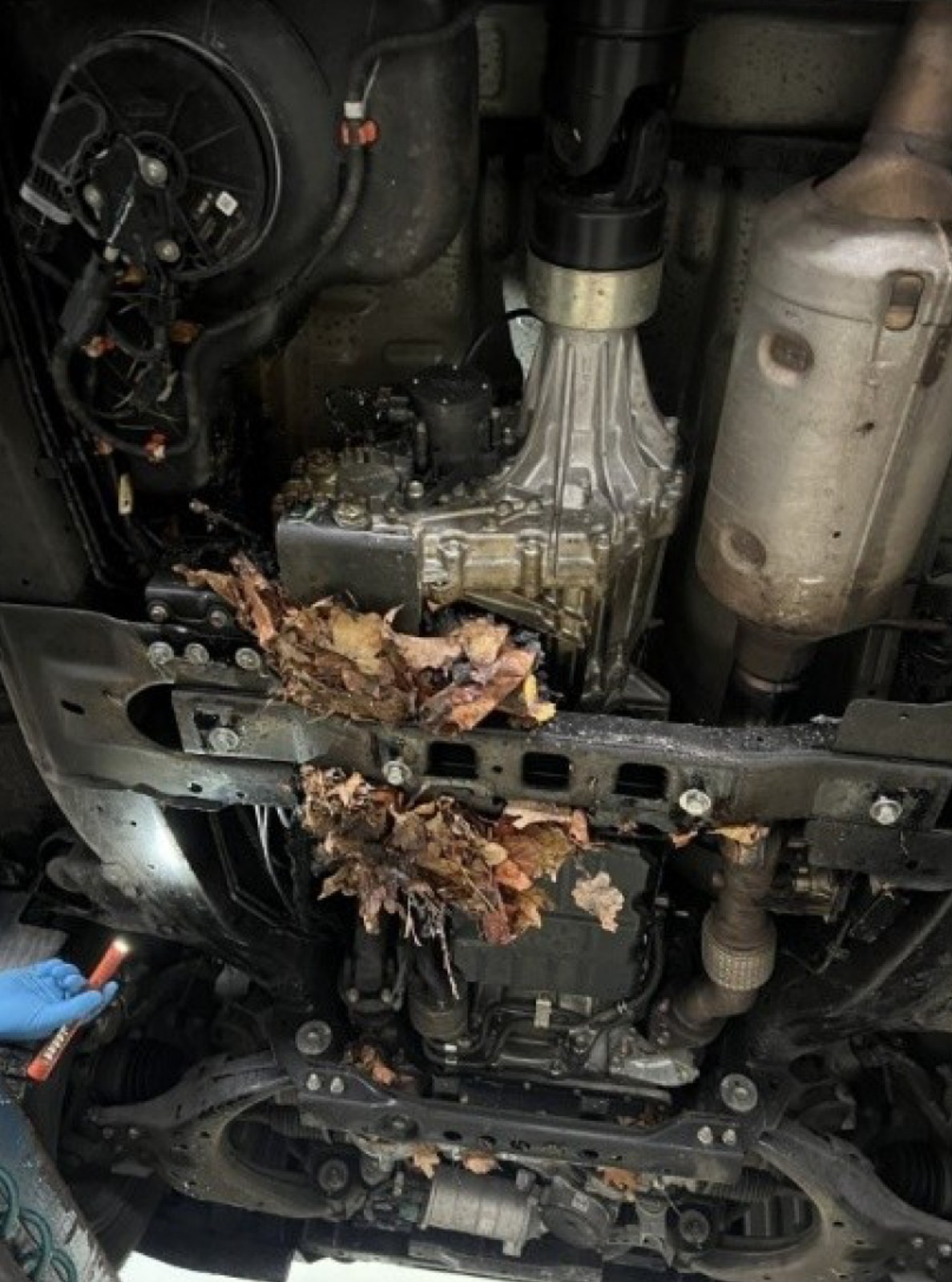 Isuzu D-Max pana Jacka – zdjęcia z oględzin rzeczoznawcy