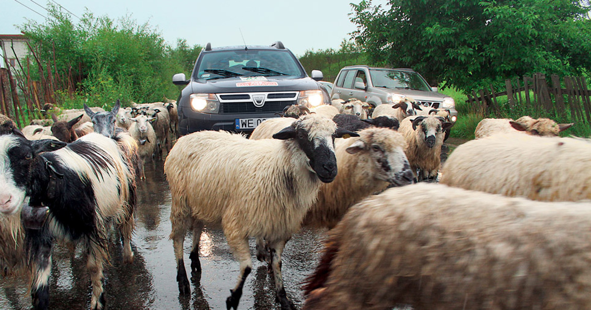 Dacia Duster 1.5 DCI: teren jej nie straszny