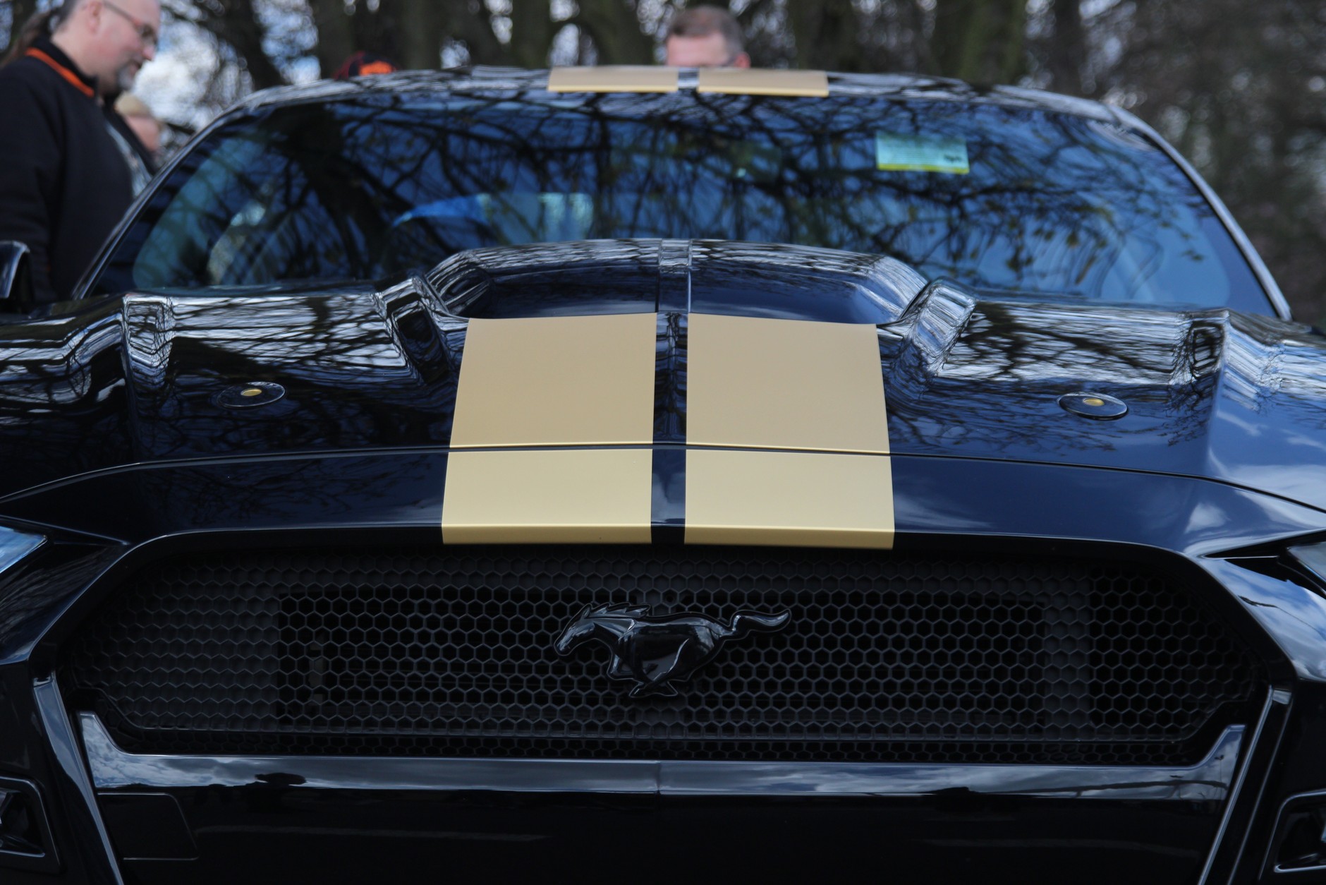 XV Ogólnopolski Zlot Mustangów