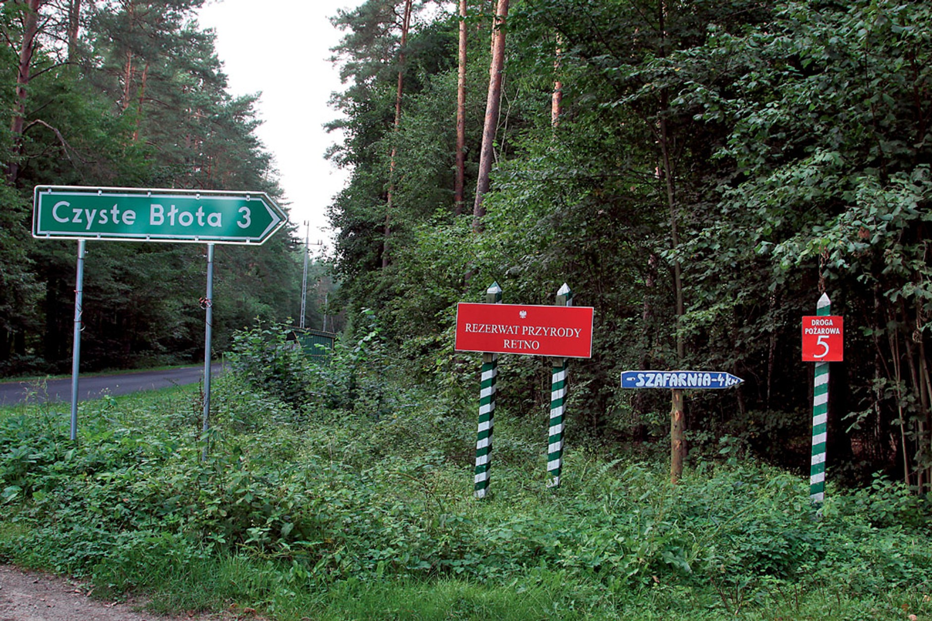 Szutry pośród jezior: zwiedzamy pojezierze brodnickie z Chevroletem Captivą