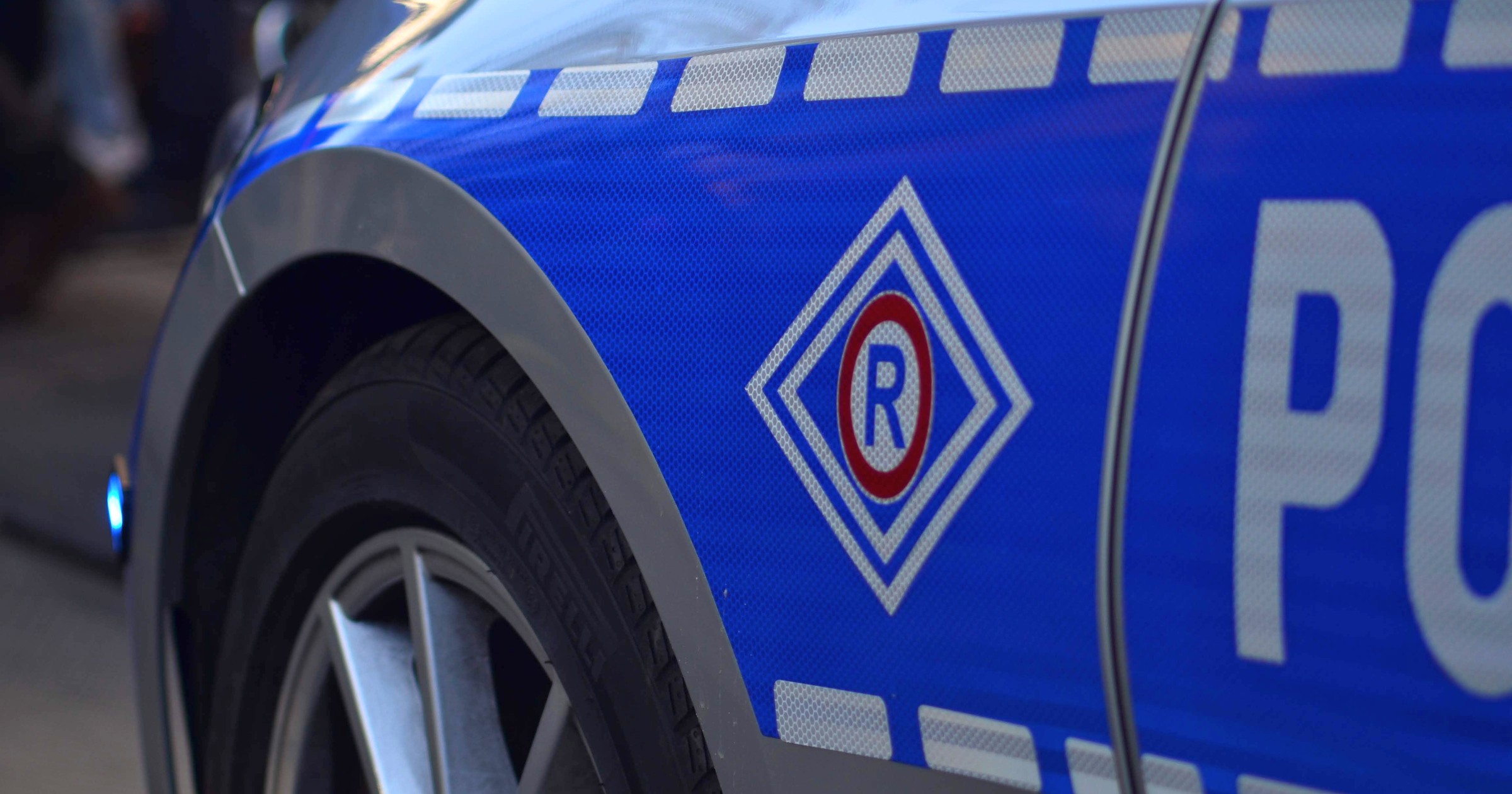Polska policja
