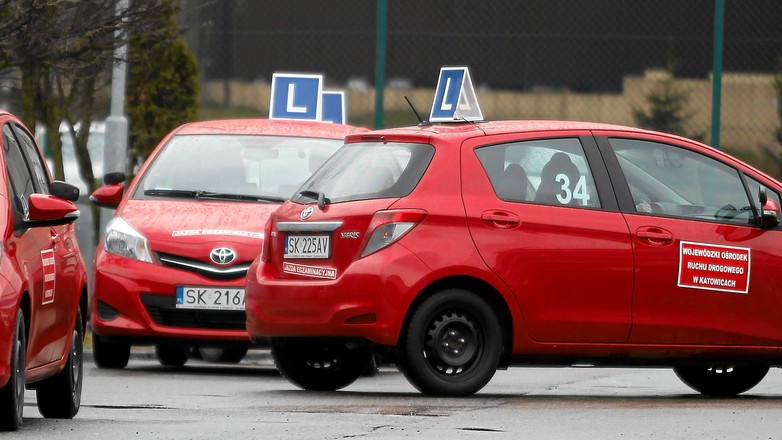 fot. Grzegorz Celejewski / Agencja Gazeta