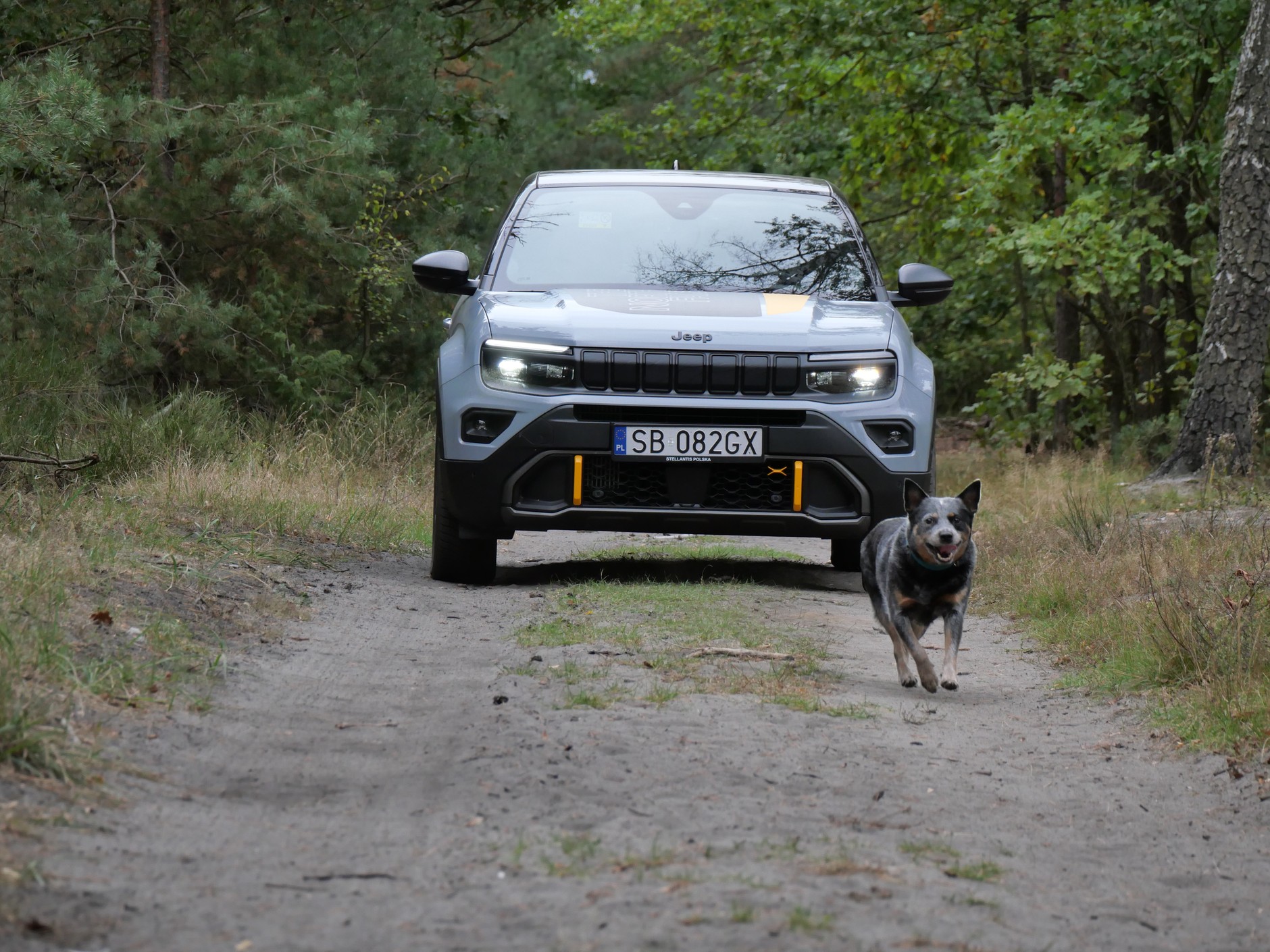 Jeep Avenger The North Face
