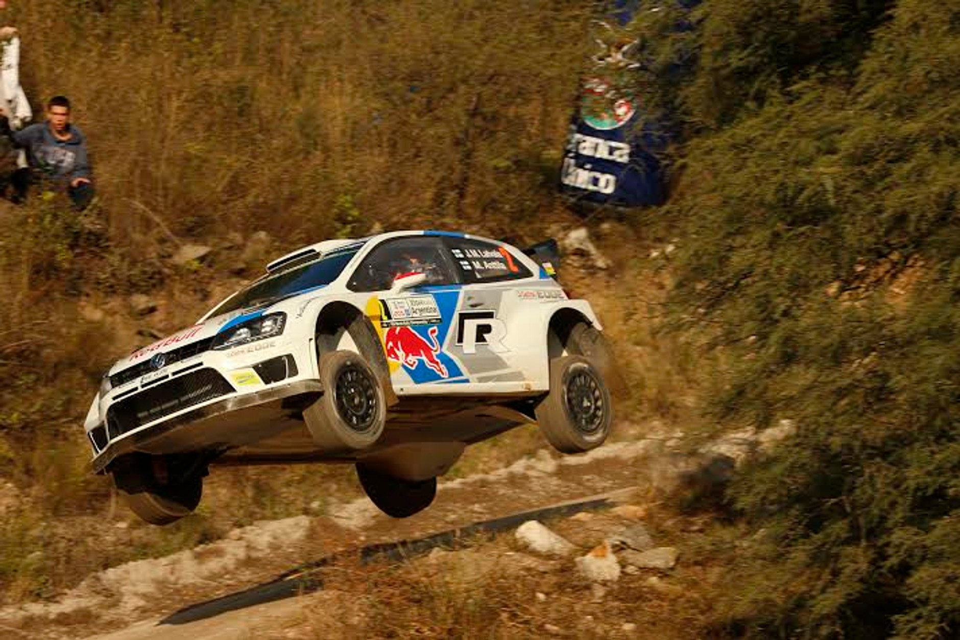 Rally Argentina 2014