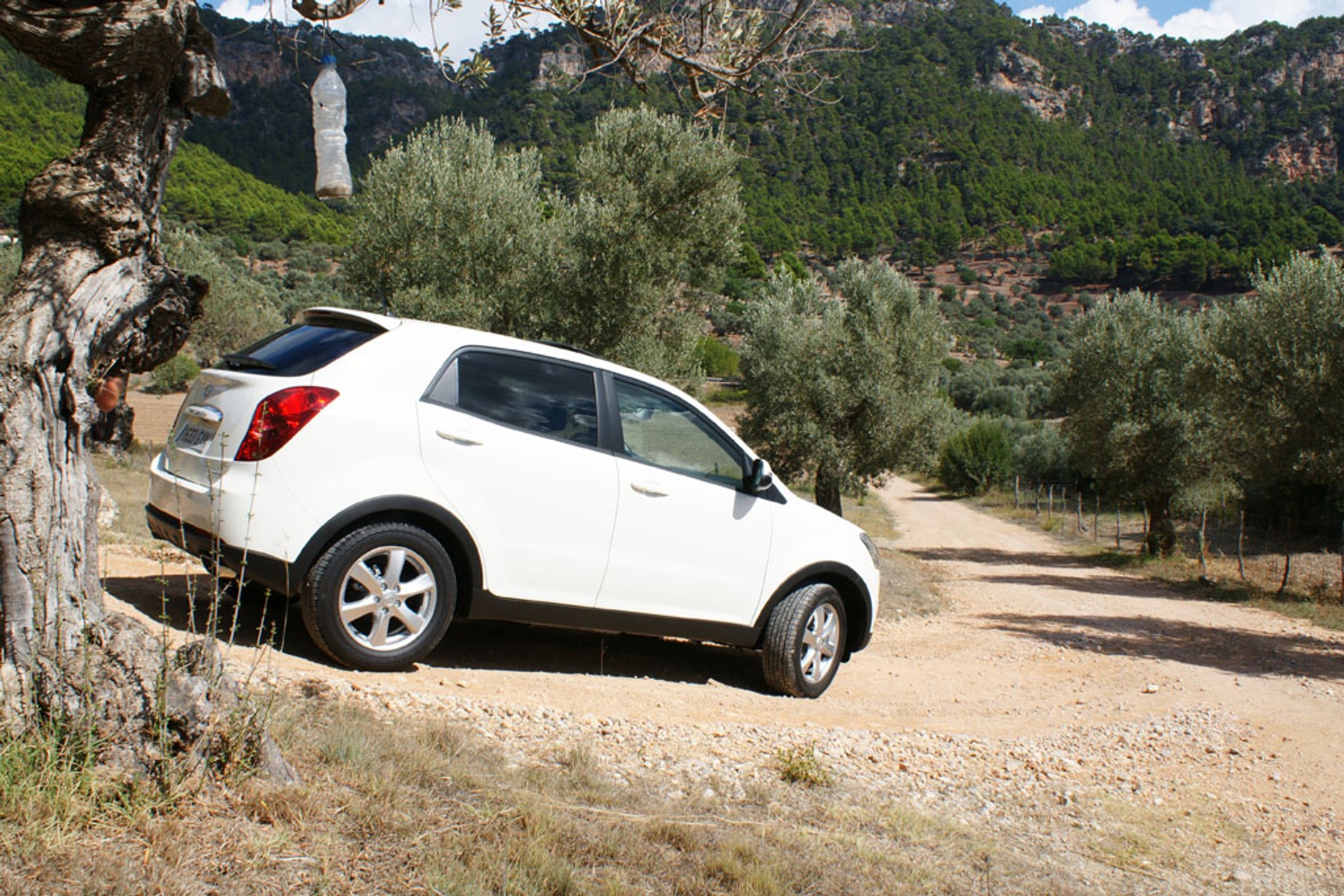 SsangYong wraca na rynek w dobrym stylu