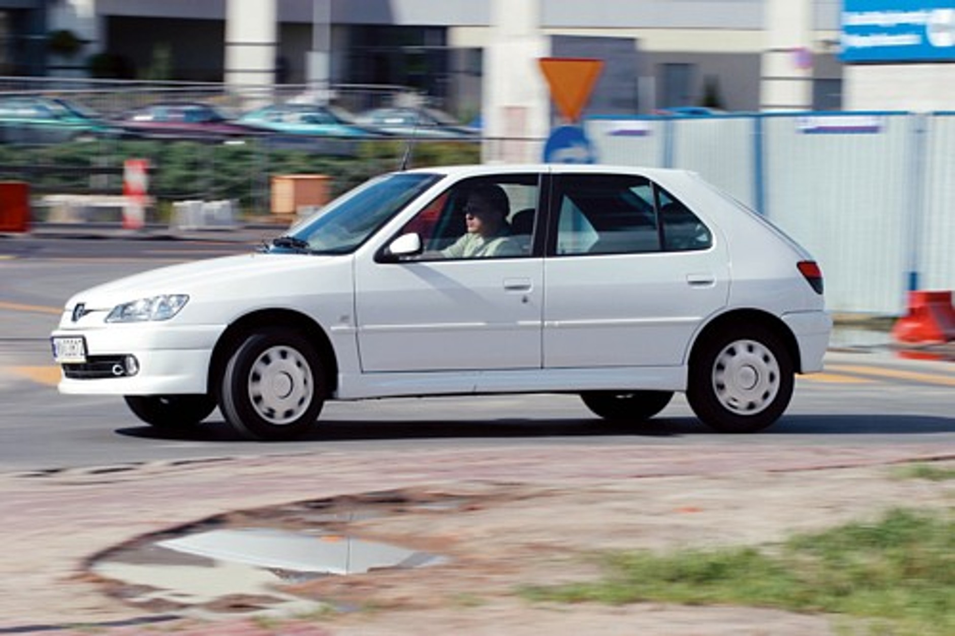 Ze środka lwiej gamy