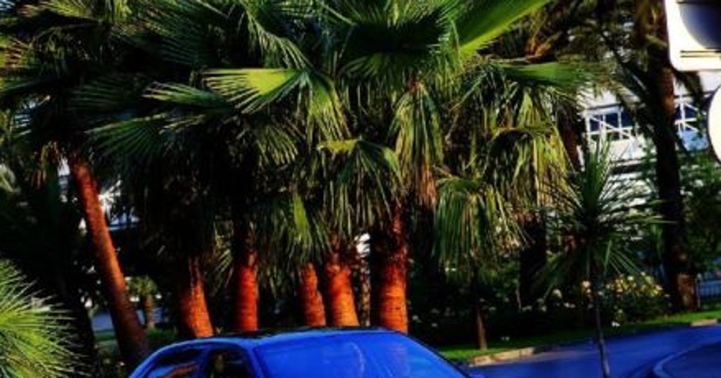 Peugeot 406, Volkswagen Passat, Lancia Lybra, Toyota Avensis - Oszczędzanie bez przerwy