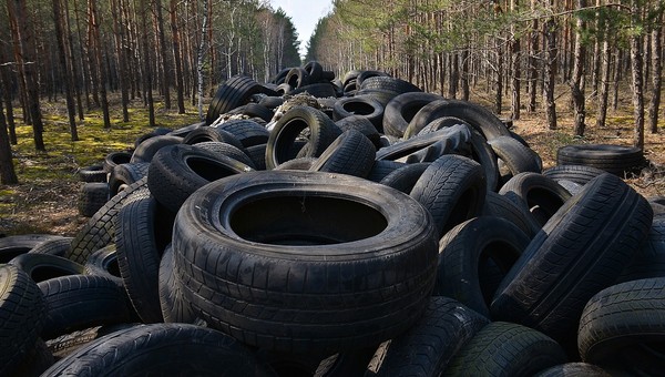 Setki opon wyrzucone w lesie. Znajdźmy sprawcę!