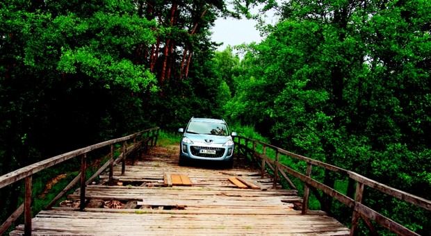 Turystyka - Lasy Janowskie z Peugeotem 4007