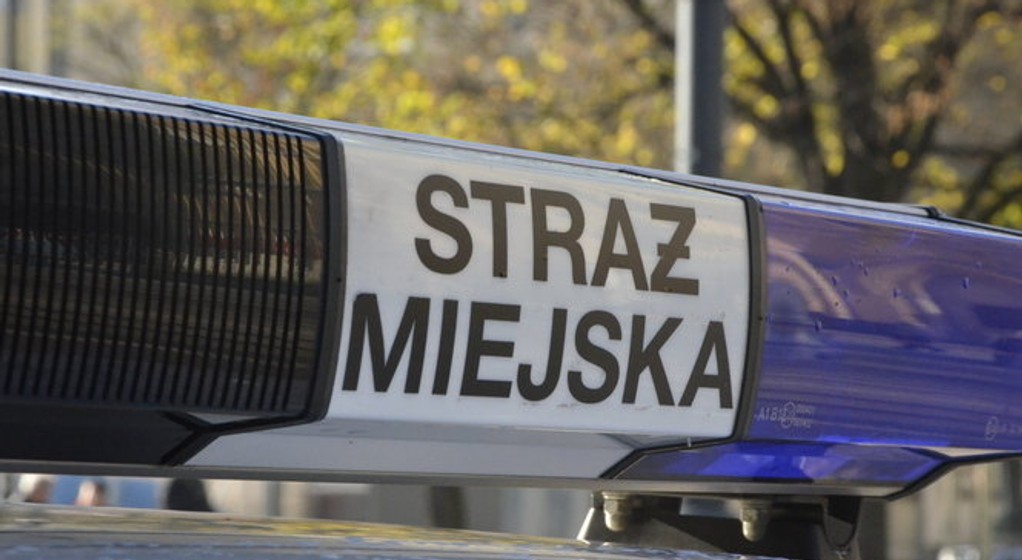 Straż Miejska (zdjęcie ilustracyjne)