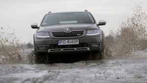 Skoda Octavia Scout 1.6 TDI - 4x4 z niewielką mocą