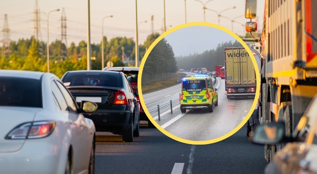 Polak pokazał kadr z drogi w Szwecji. "20 lat za kierownicą i pierwszy raz spotykam się z sytuacją"