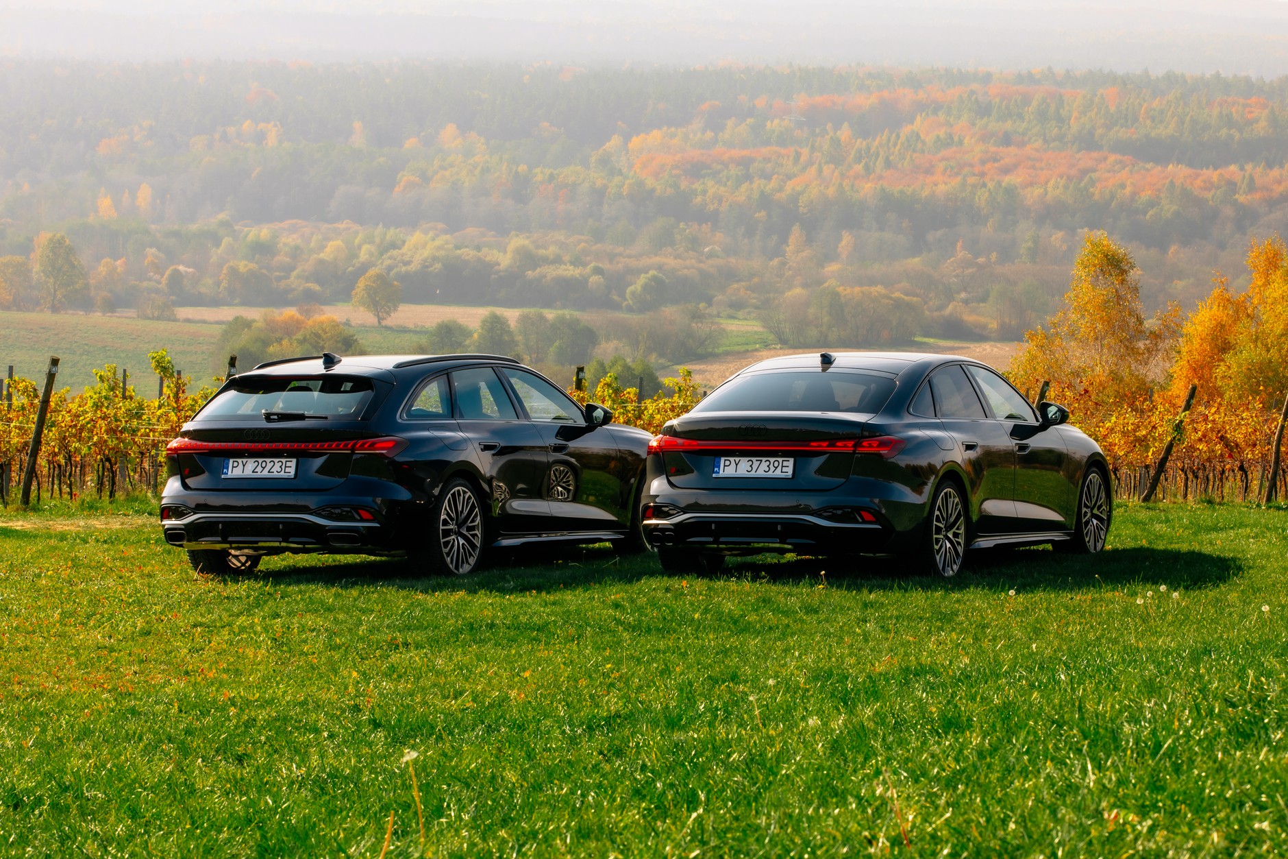Audi A5 (2025)