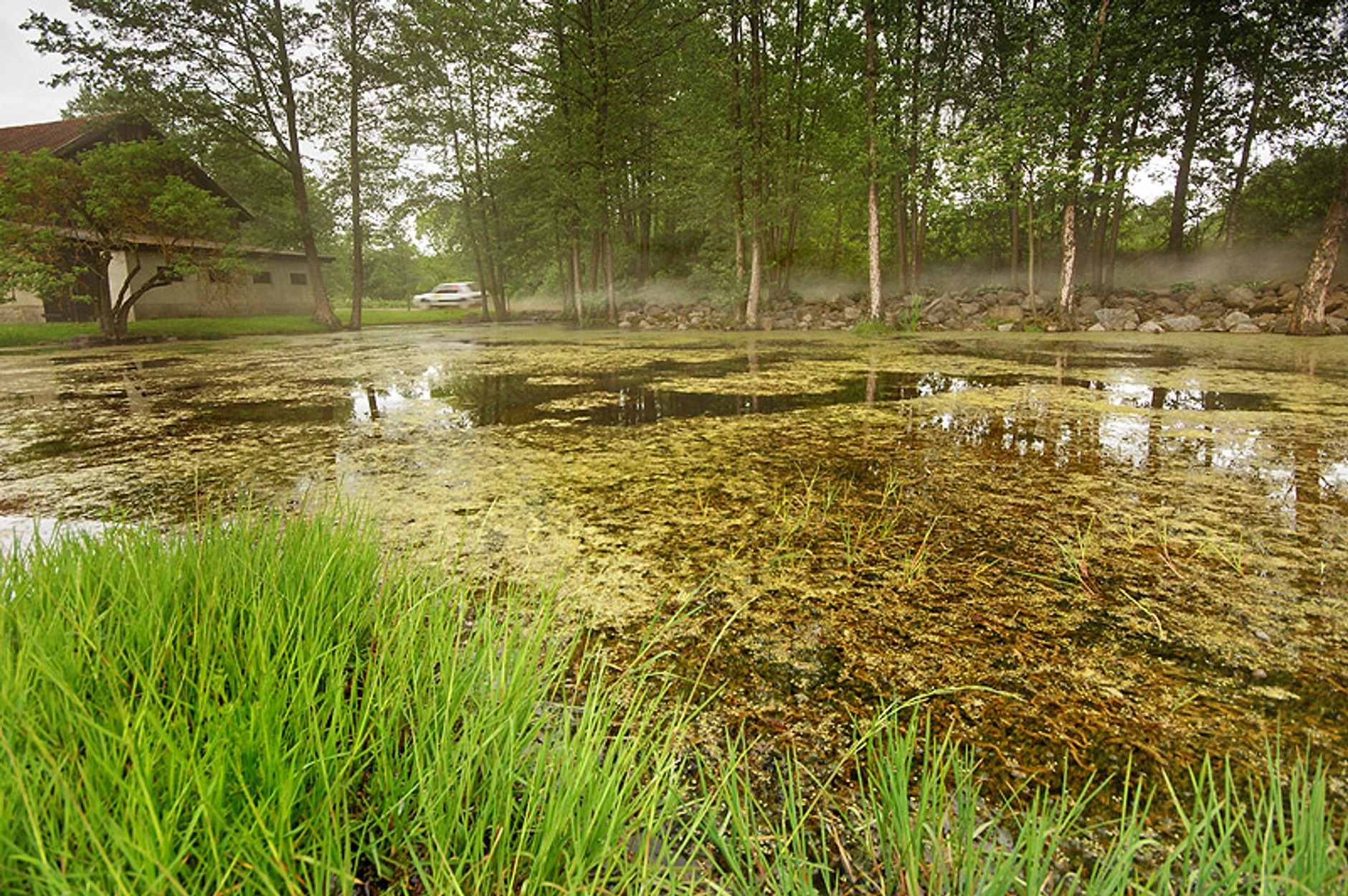 Rajd Agapit 2008: fotogaleria Dawida Konopki