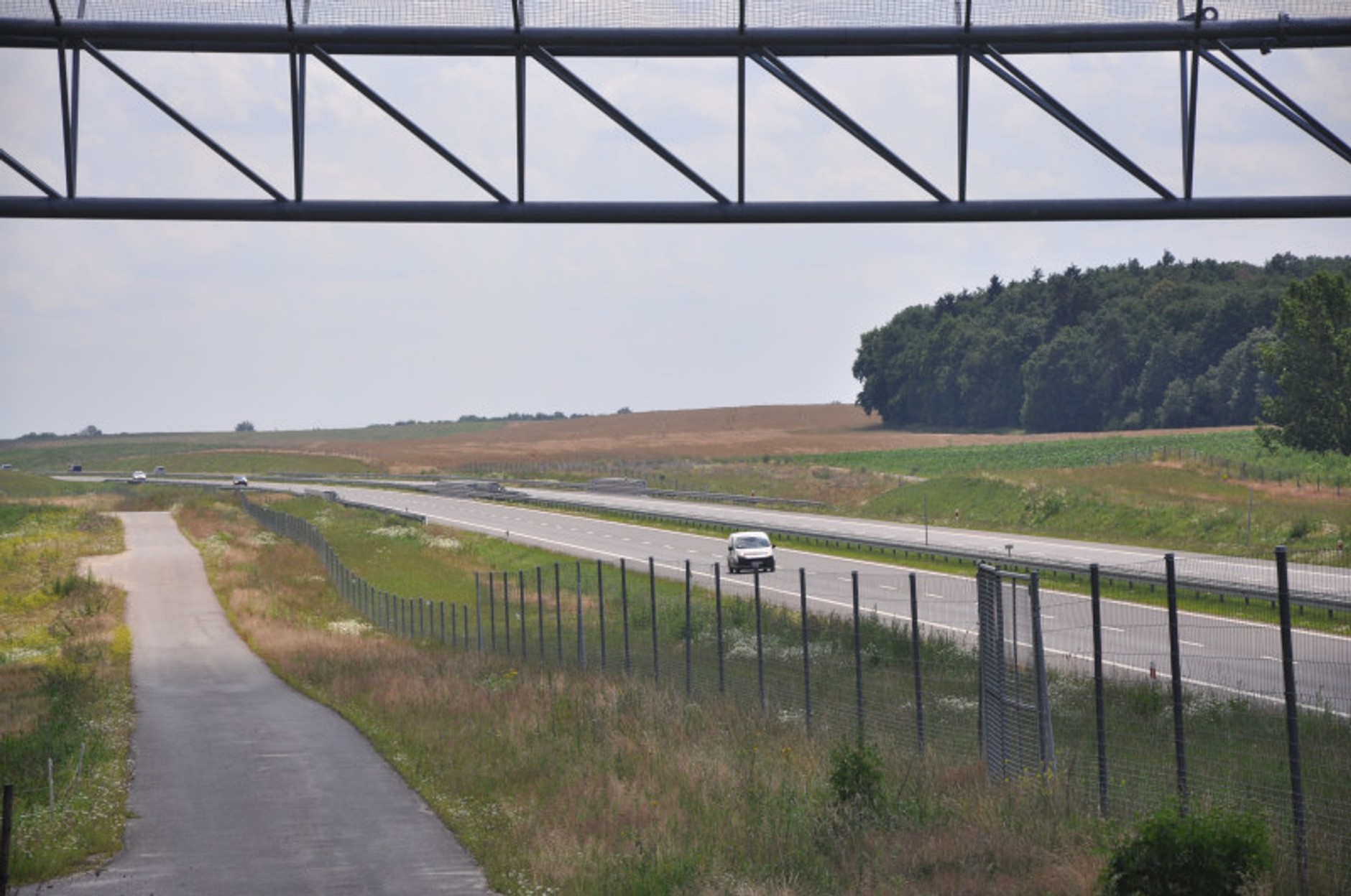 Bramownica dla nietoperzy nad drogą ekspresową