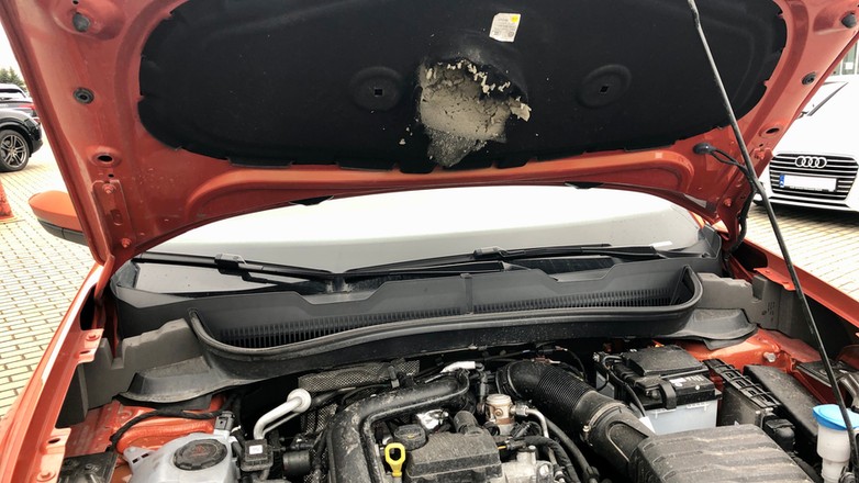 Kuna - wygryzione wygłuszenie pod maską