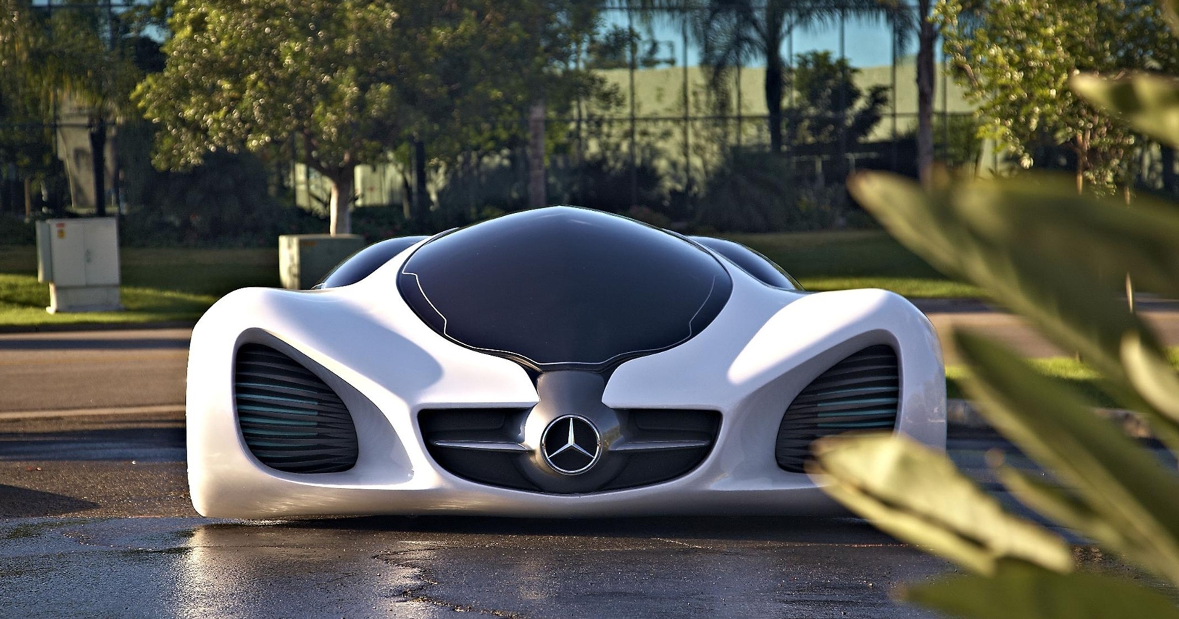 Mercedes Biome