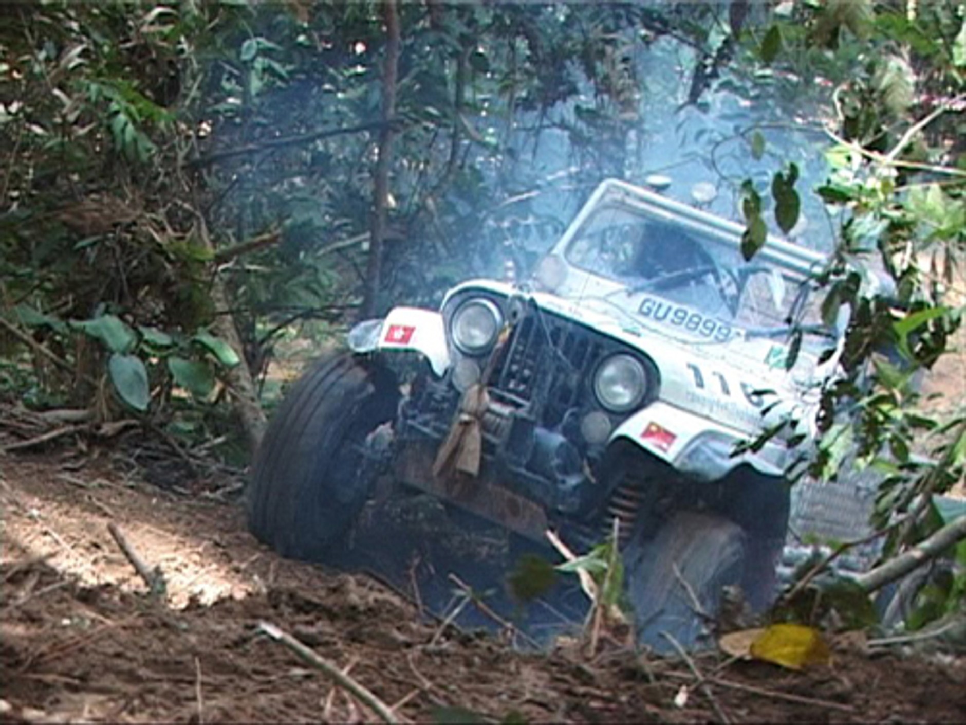 Rainforest Challenge