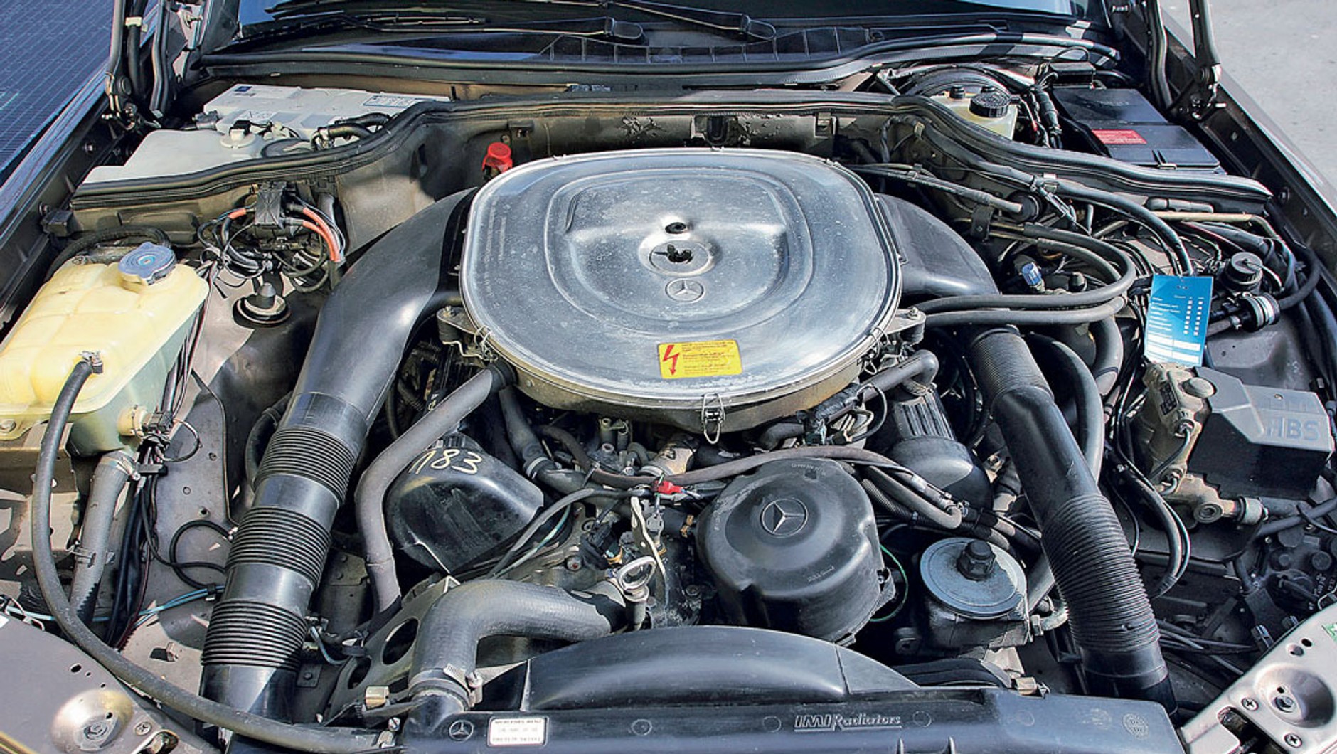 Ewolucja zamiast rewolucji – silnik V8 o pojemności 4,2 l, wykonany z metali lekkich, miał wewnętrzne oznaczenie M 116 E 42. M 116 w prostej linii wywodziło się z jednostki z 1969 roku – 3,5-litrowego, 8-cylindrowego silnika z modelu W109/111