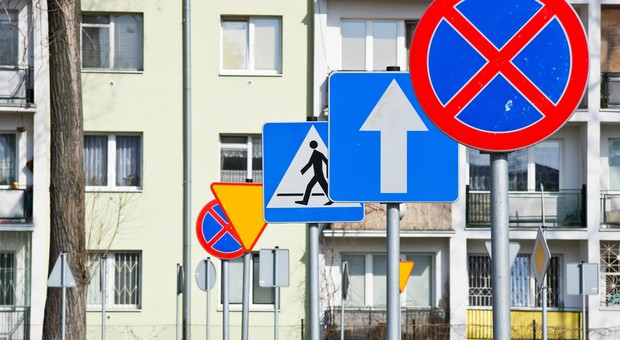 Wyruszasz na wakacje? Ten quiz pokaże, czy naprawdę znasz znaki drogowe