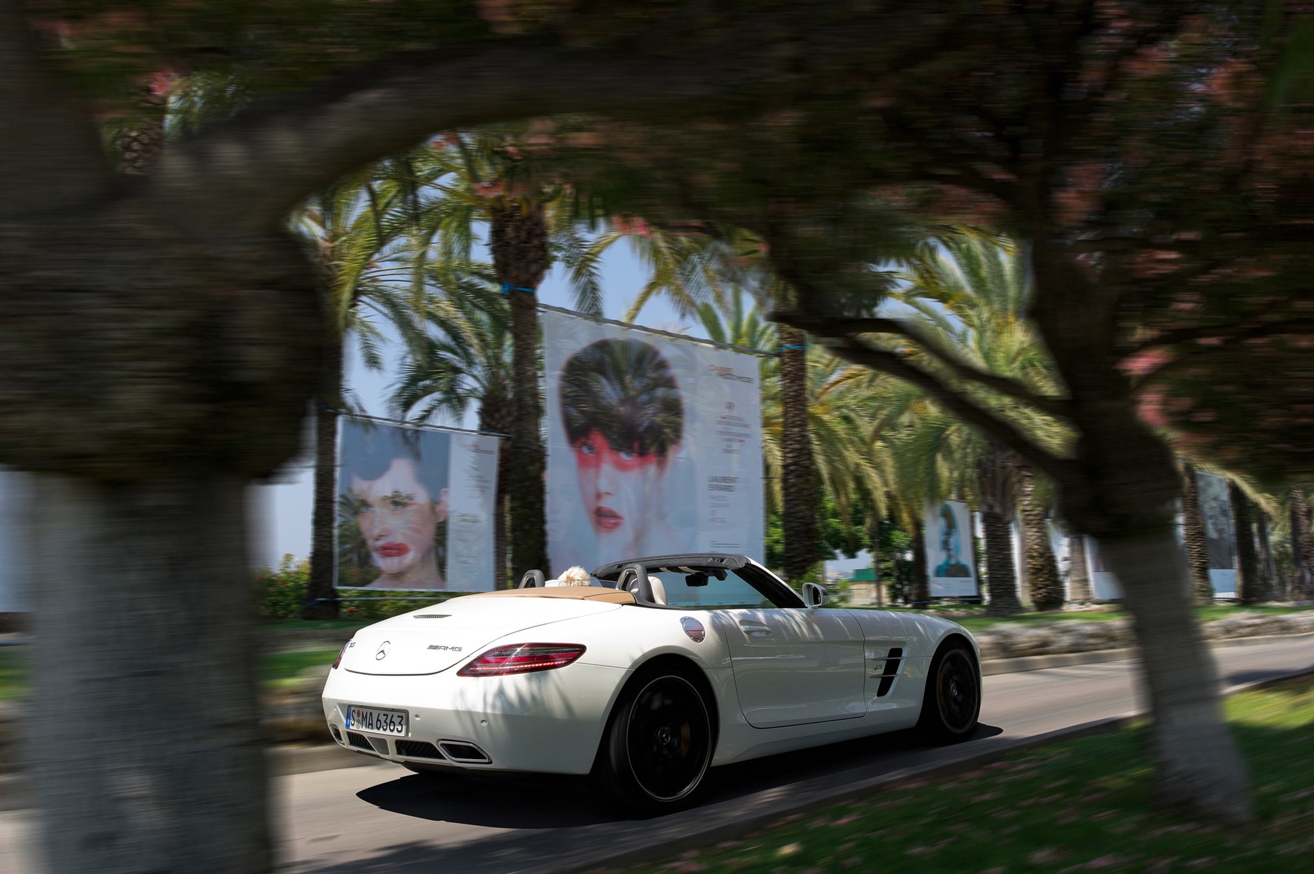 Mercedes SLS AMG Roadster