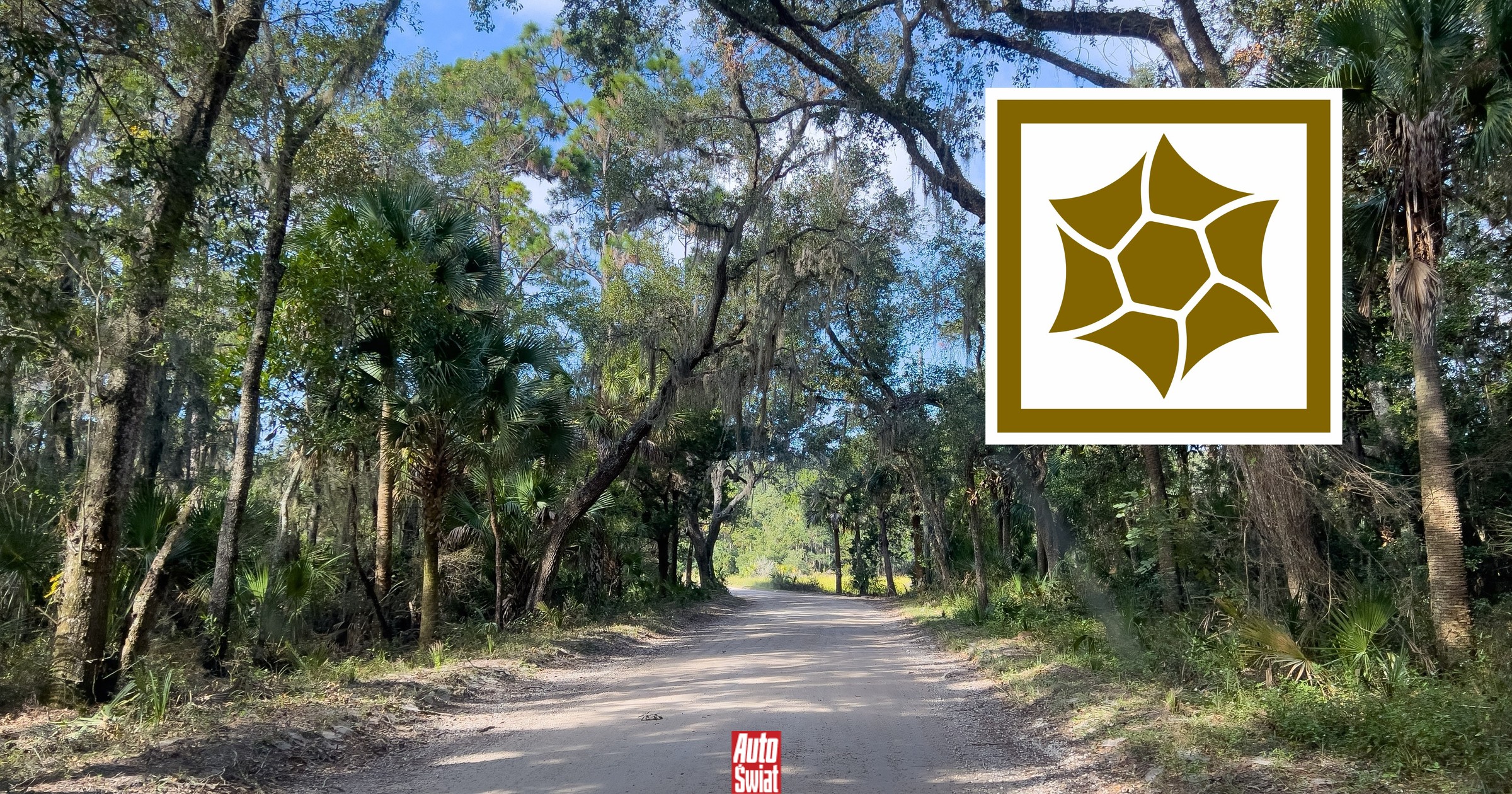 Ten znak intryguje kierowców. Co znaczy "Kwiat piasku"? Ma konkretne znaczenie