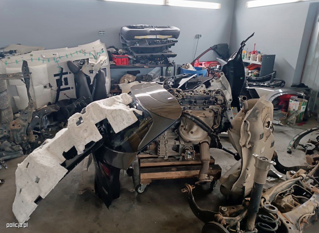 Policjanci znaleźli "dziuplę", a w niej towar o wartości niemal pół miliona zł