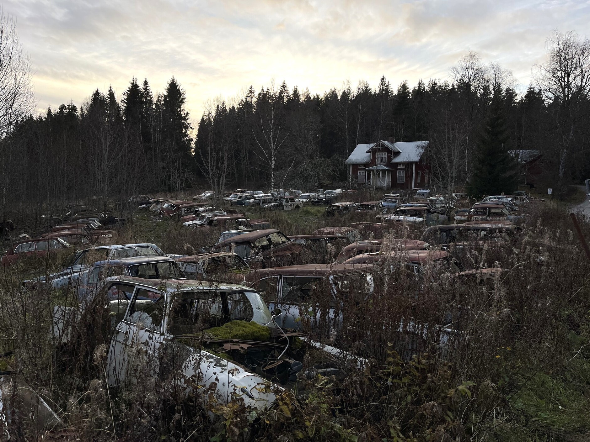 Cmentarzysko samochodów w Bastnas w Szwecji