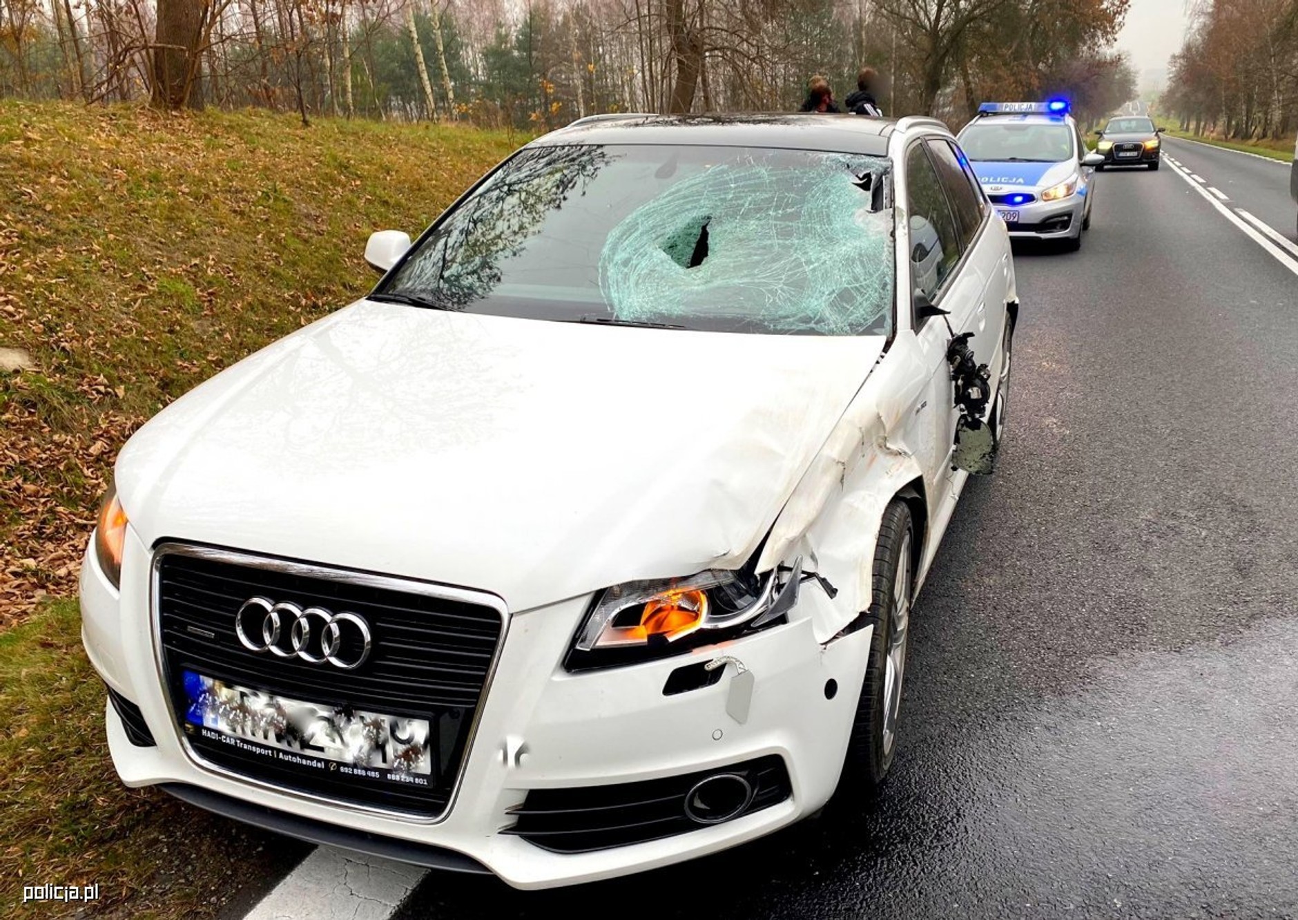 Audi po kolizji z jeleniem