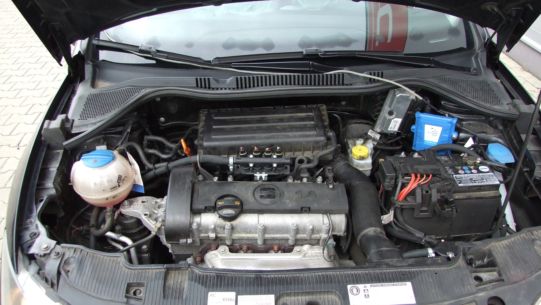 Seat Ibiza LPG