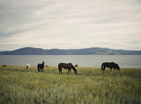 Nową Mazda 3 przez Syberię – przygoda po zatankowaniu