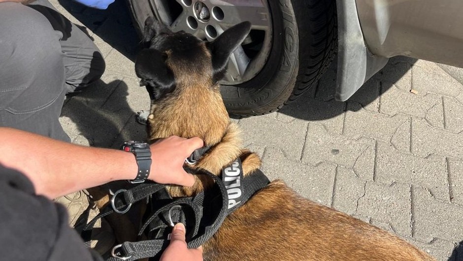 Policjanci dostali zgłoszenie o dziwnym zachowaniu kierowcy. Dowody na wszystko były w aucie