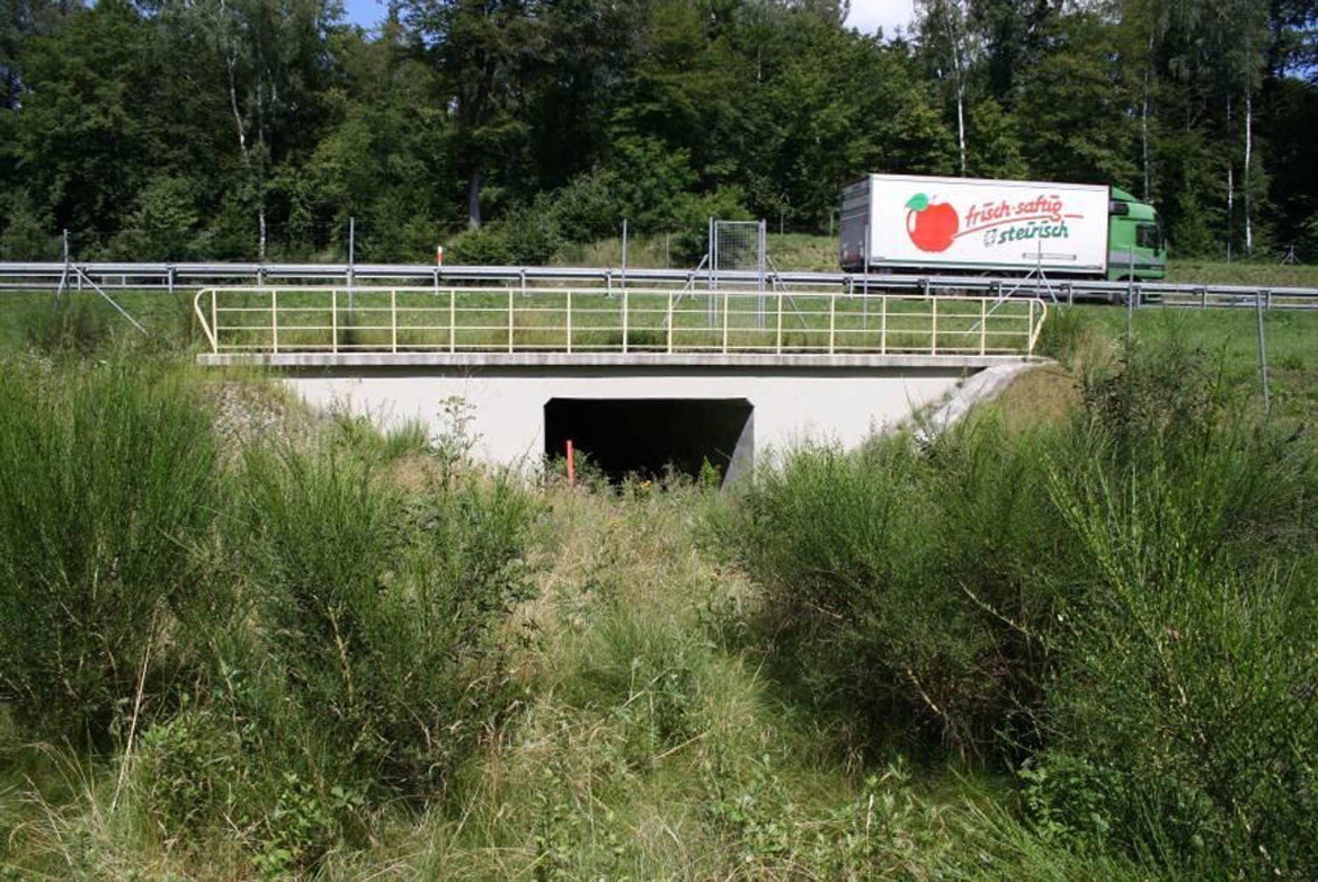 Jezdnia kontra opady deszczu - Gdzie trafia woda z drogi?