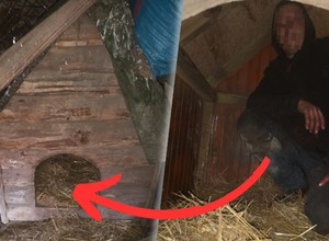 Nie zatrzymał się do kontroli drogowej. Przed policjantami ukrył się w psiej budzie [WIDEO]