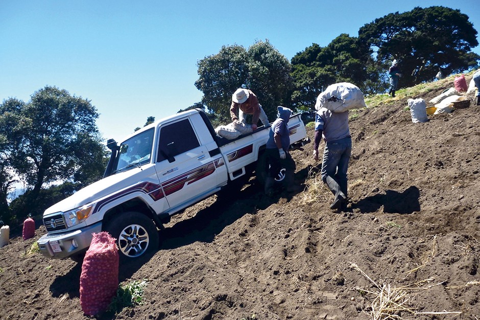 Toyota Land Cruiser na polu uprawnym w Kostaryce