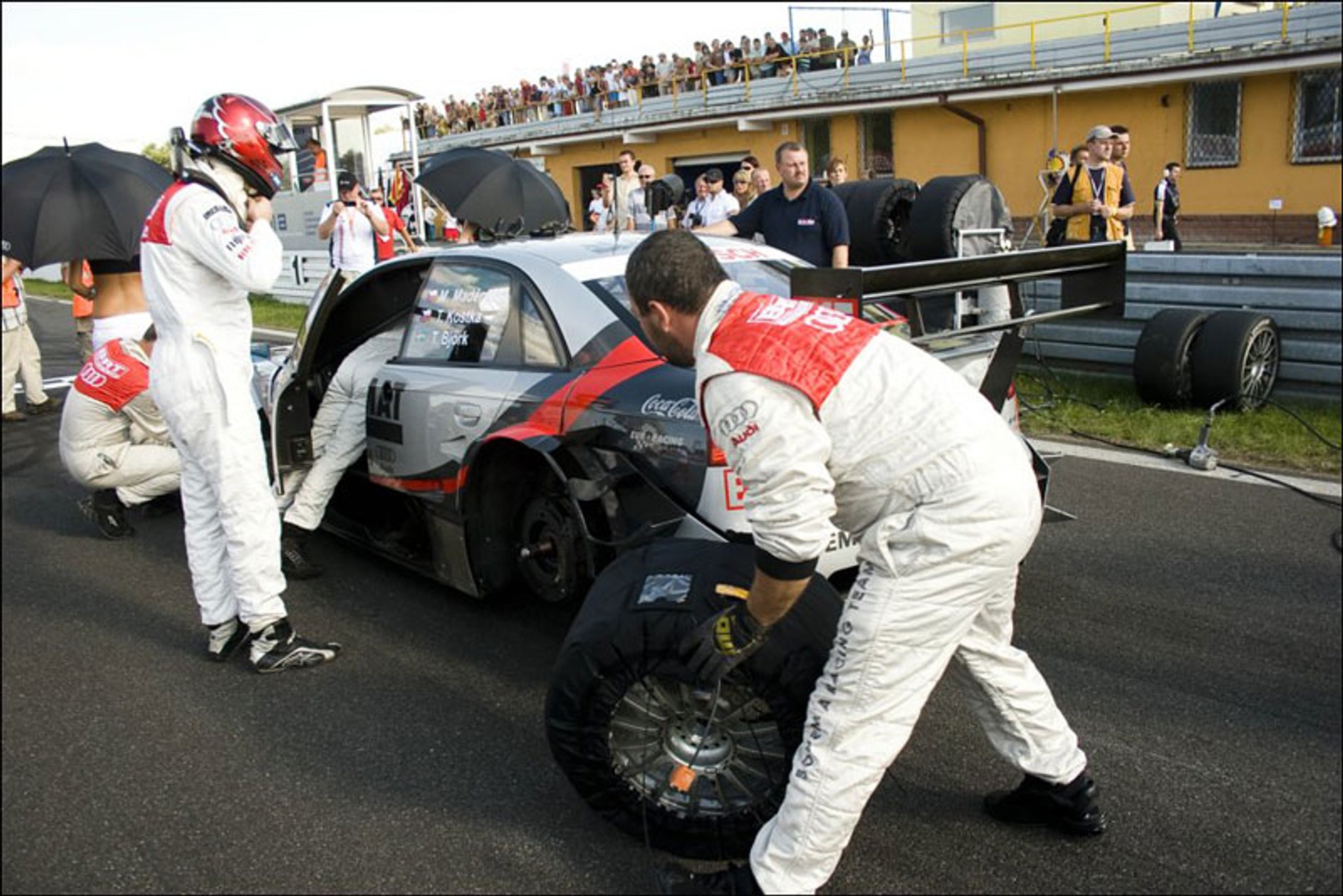 Wyścigi: nowe rekordy na torze w Poznaniu (fotogaleria)