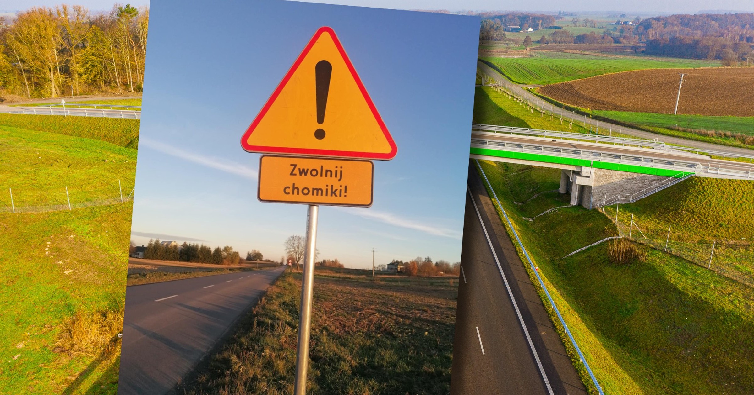 Nowy znak pojawił się na drogach. To wyjątkowe oznaczenie dla bezpieczeństwa natury