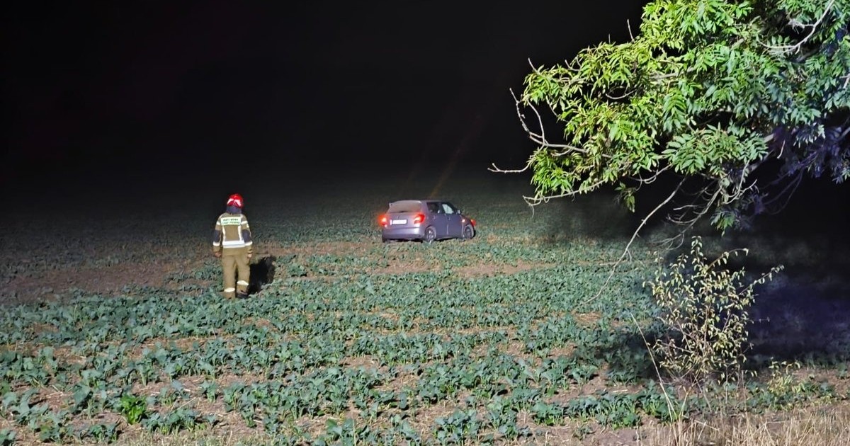 Skoda stała w polu. Kierowca dostał 5 tys. zł mandatu