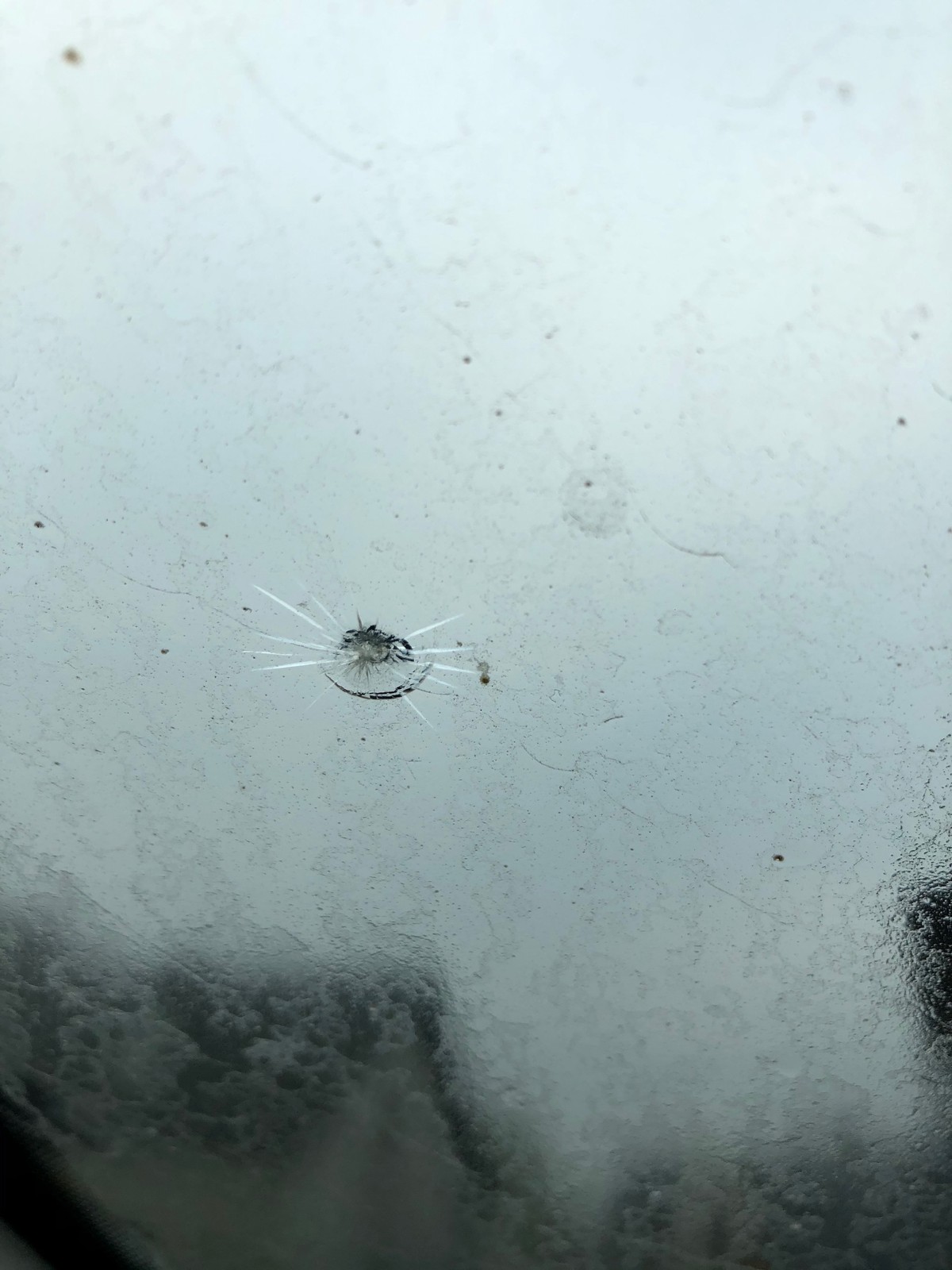 Ford S-Max 2.0 TDCi: auto z ogłoszenia