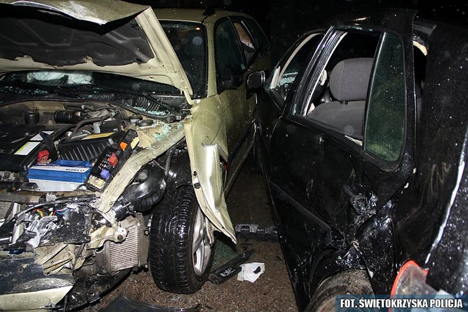 W kolizji aut osobowych brały udział... dwie kozy