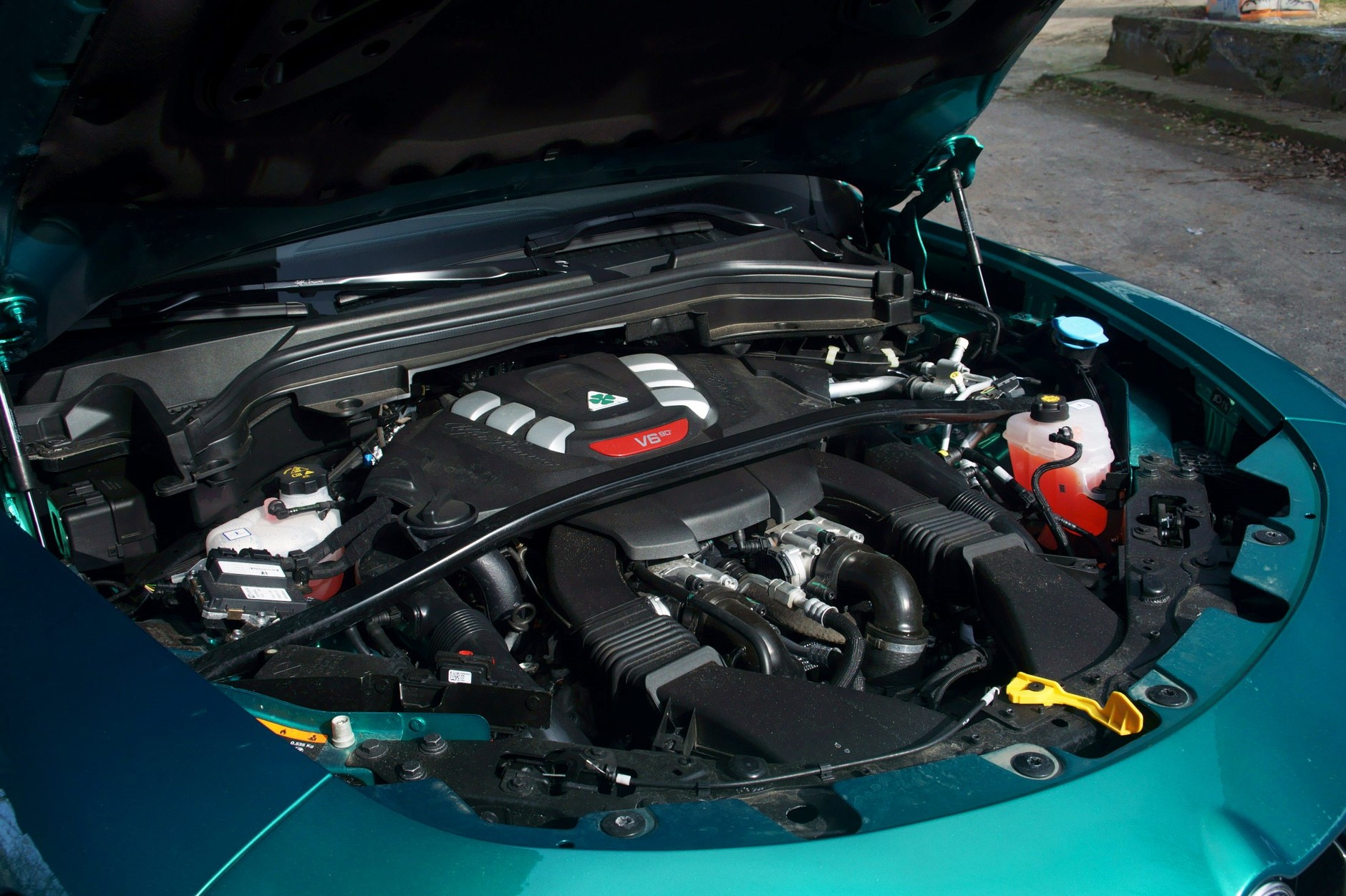 Widlasta "szóstka". To jeszcze nie zostało zakazane?!