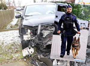 Spowodował wypadek i uciekł. Policji pomógł Pirs