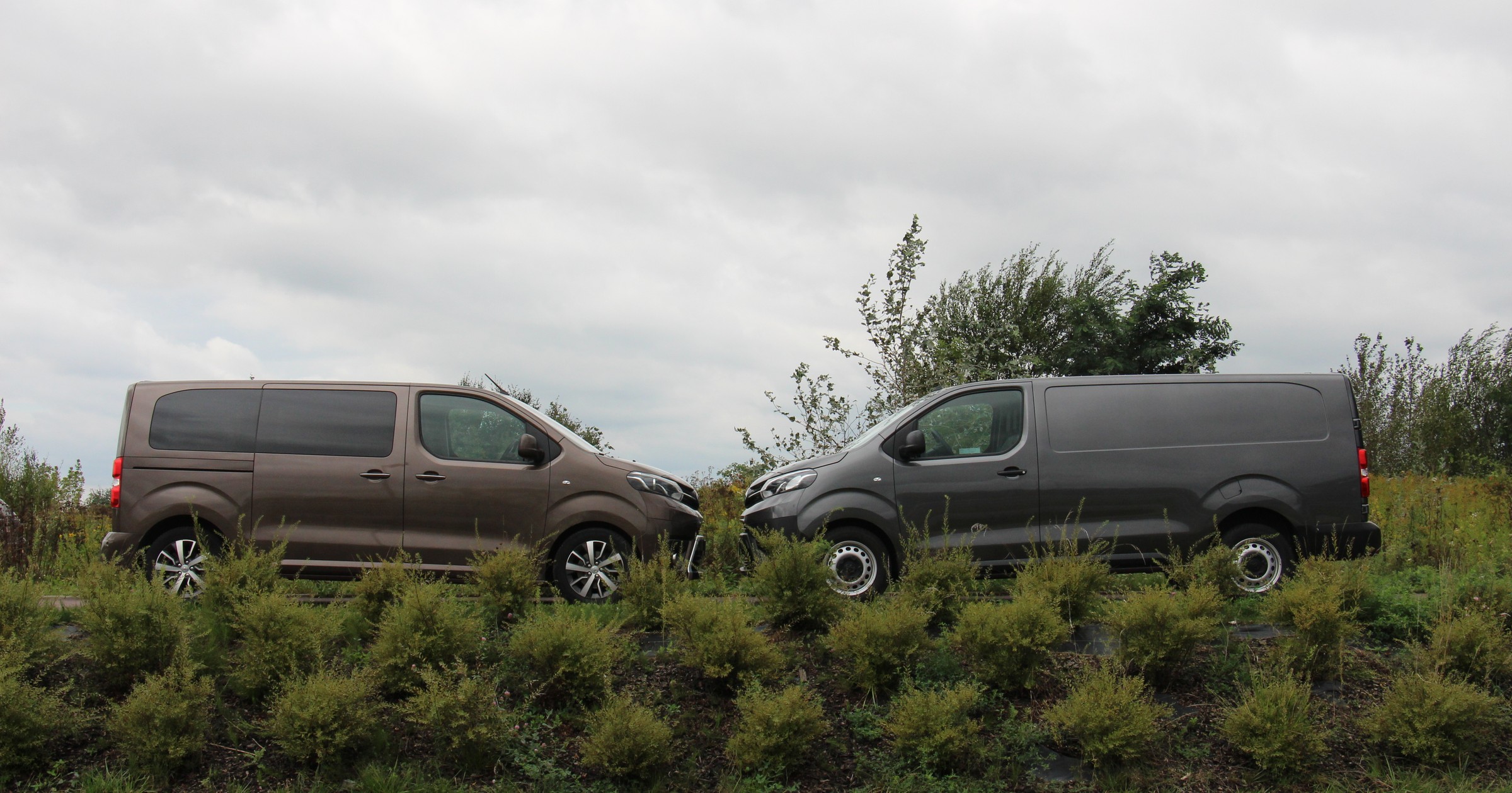 Toyota Proace Verso i Proace dostawcza