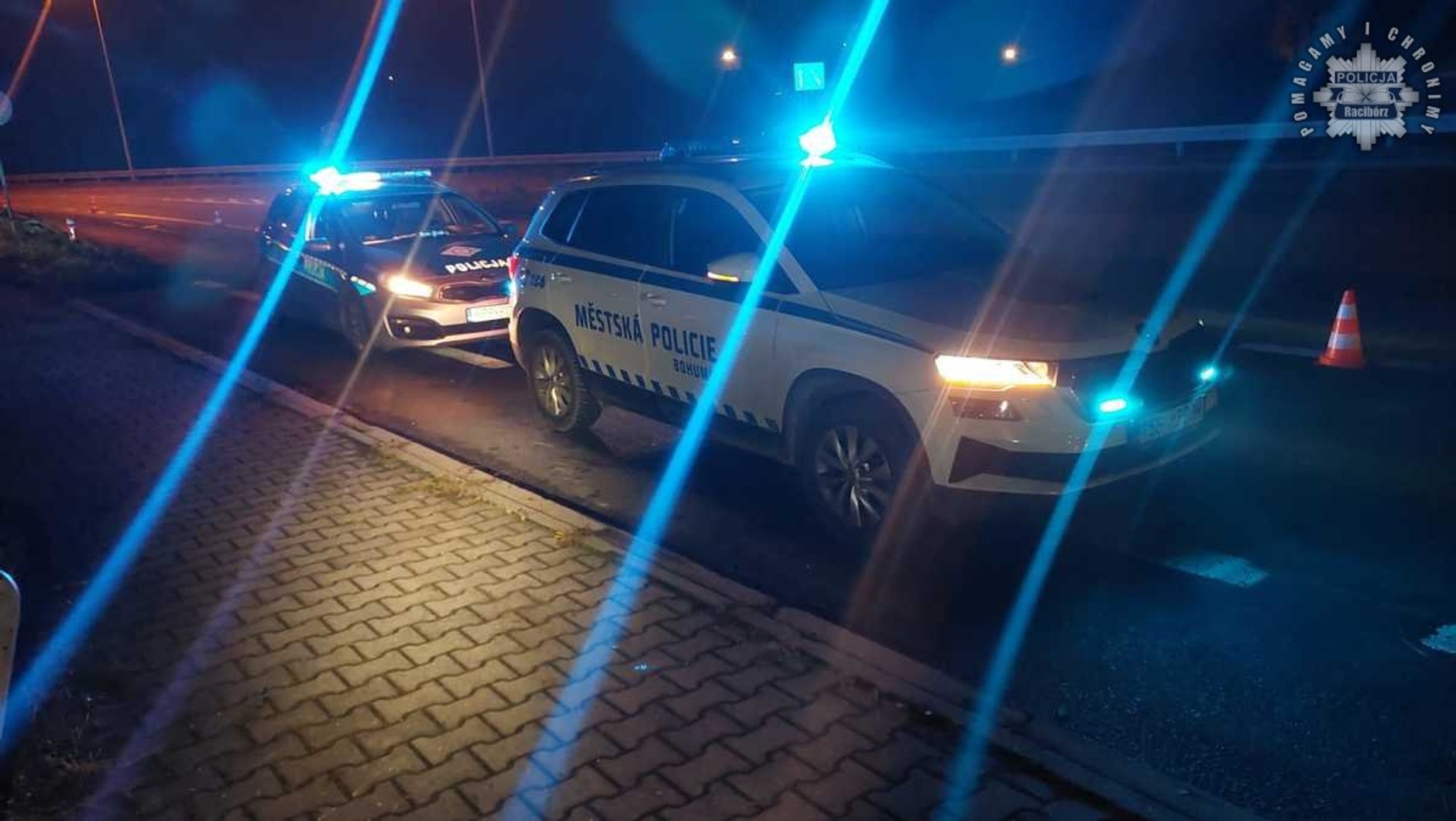 Wspólna akcja czeskiej i polskiej policji zakończyła się zatrzymaniem obywatelki Czech