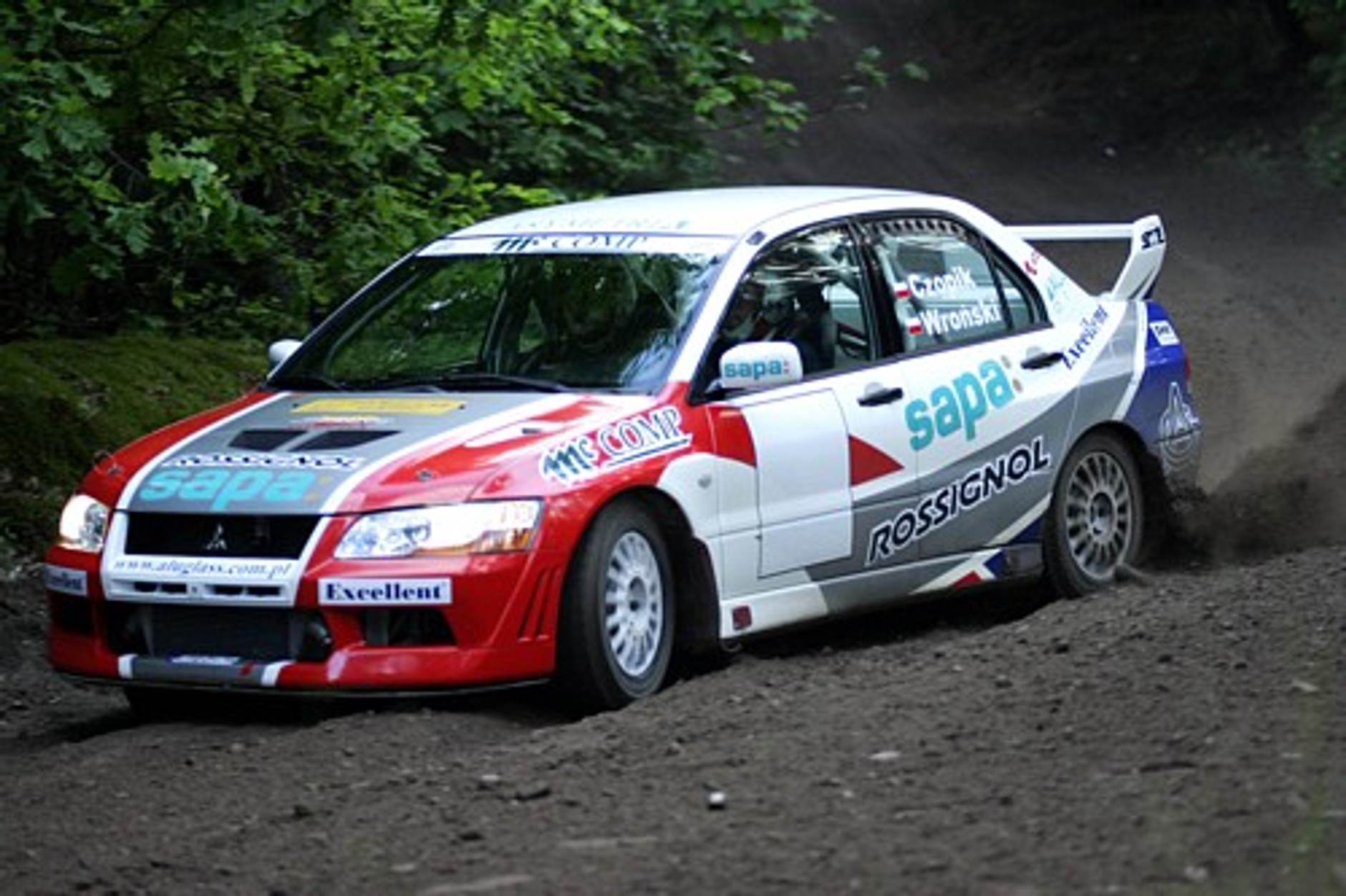 Narciarski oes w środku lata