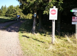 Jeździli dla rozrywki po lesie. Zupełnie nie spodziewali się mandatów