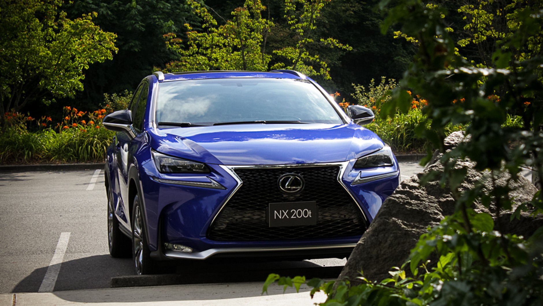 Lexus NX 2014