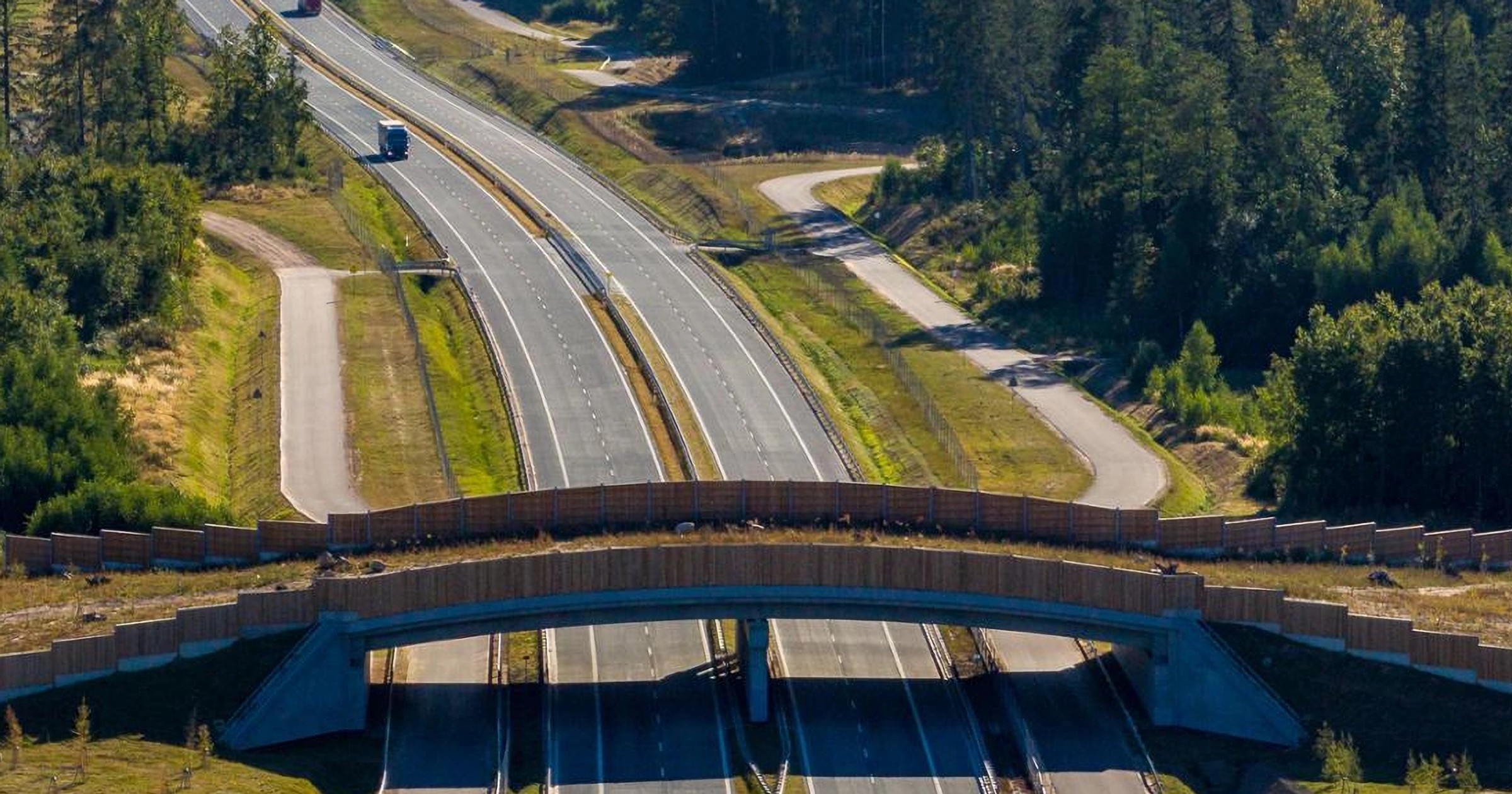 Przejście dla zwierząt nad drogą S61