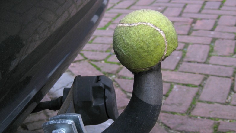 Prosty sposób na ochronę. Wystarczy piłka do tenisa