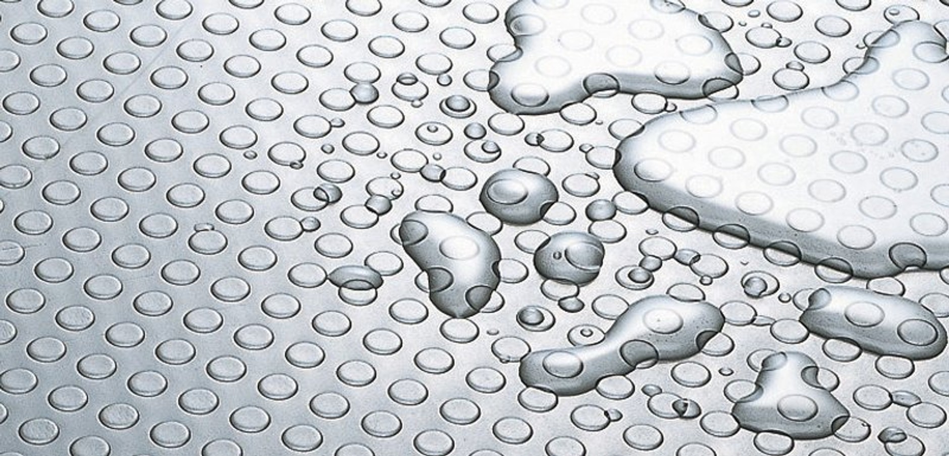 Honda Vamos Travel Dog – komfort dla psa